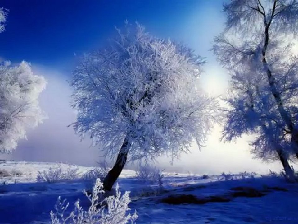 KAFES- Müsade Özdemir