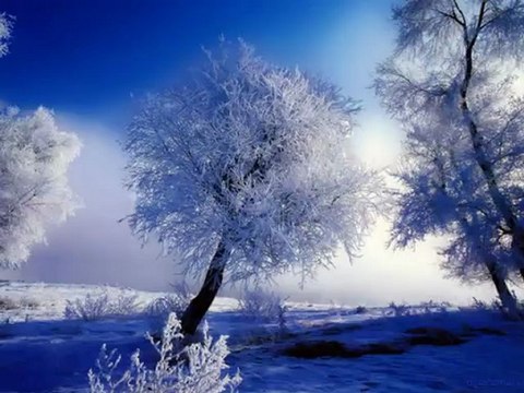 KAFES- Müsade Özdemir