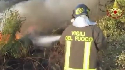 Avellino - Incendio discarica Avella (07.08.12)