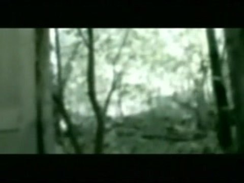 Amon Amarth - Pursuit of Vikings