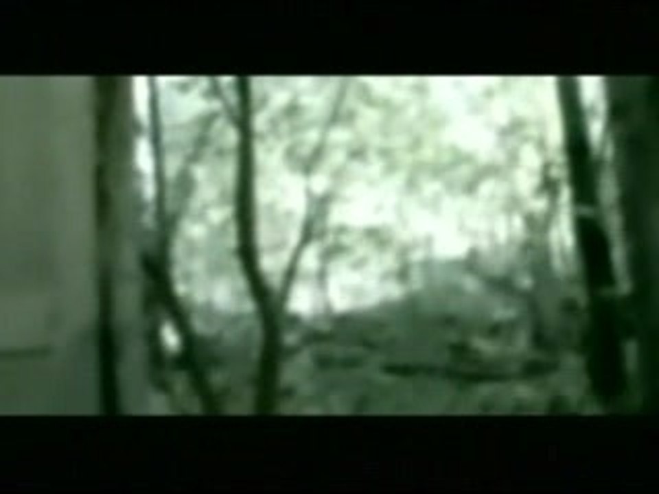 Amon Amarth - Pursuit of Vikings