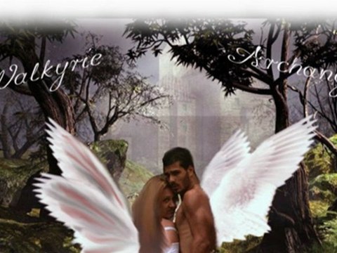 Présentation personnages volet 1 (L'Histoire du Phoenix)