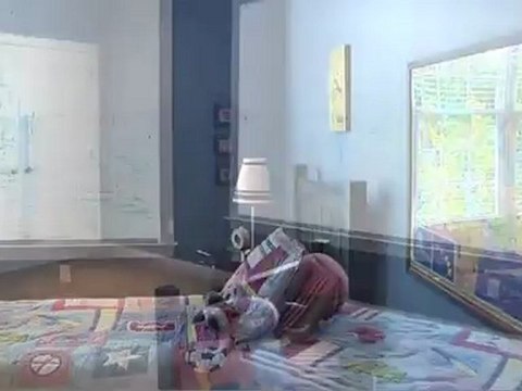 1353 Gabriel Lane, Jamison, PA