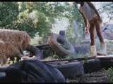 Beasts Of The Southern Wild - Trailer