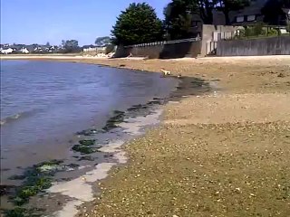 Première sortie de Cherry en mer!