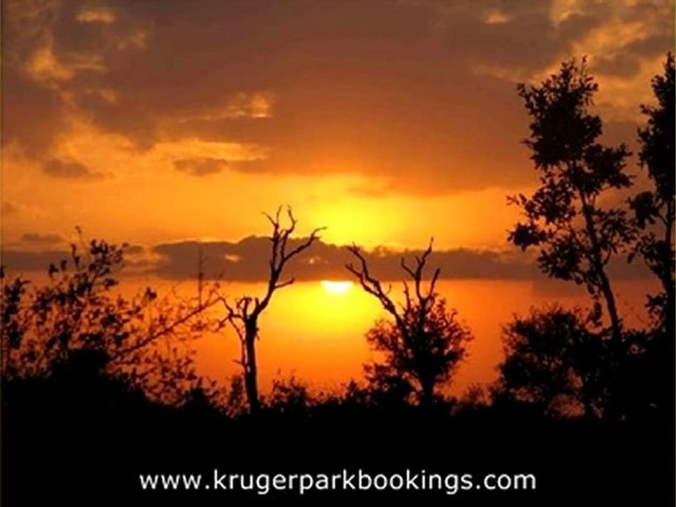 Marloth Park Lodging Accommodation (Part 1)