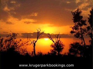 Marloth Park Lodging Accommodation (Part 8)