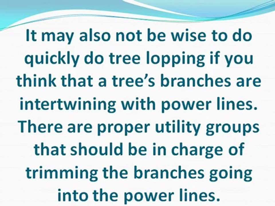 Things to Know Before Removing a Tree