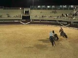 Saut de cheval à cheval