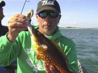 Team SWAD - Session SEA BASS 2012