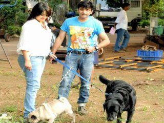 Upcoming Marathi Movie Ayna Ka Bayna Is A Dance Drama! - Marathi News