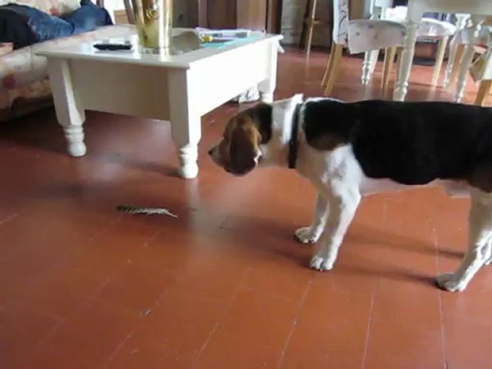 balmo aout 2012 010