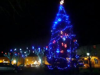 Sapin noël 2010 Citylum