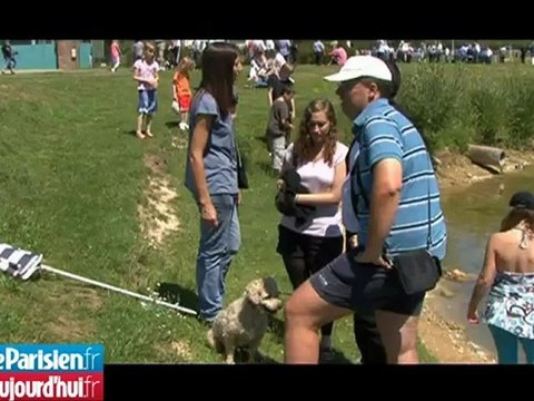 Les dernières tours de la Pierre-Collinet à Meaux ont disparu