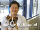 Sunrise Pet Hospital 714-283-0227 Anaheim CA Veterinarian Pet Care Animal Hospital