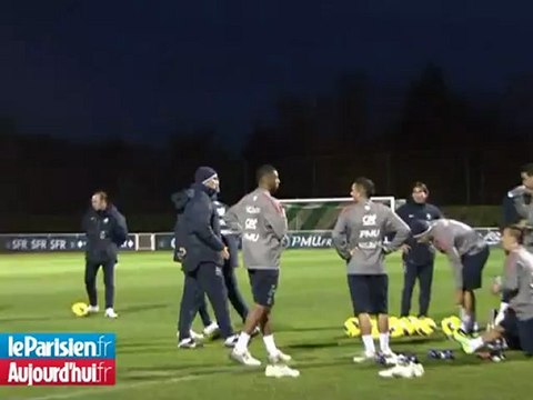 Rushes Bleus Bertrand