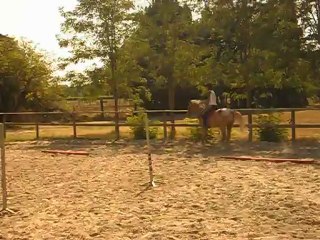 moi et poulinou dressage