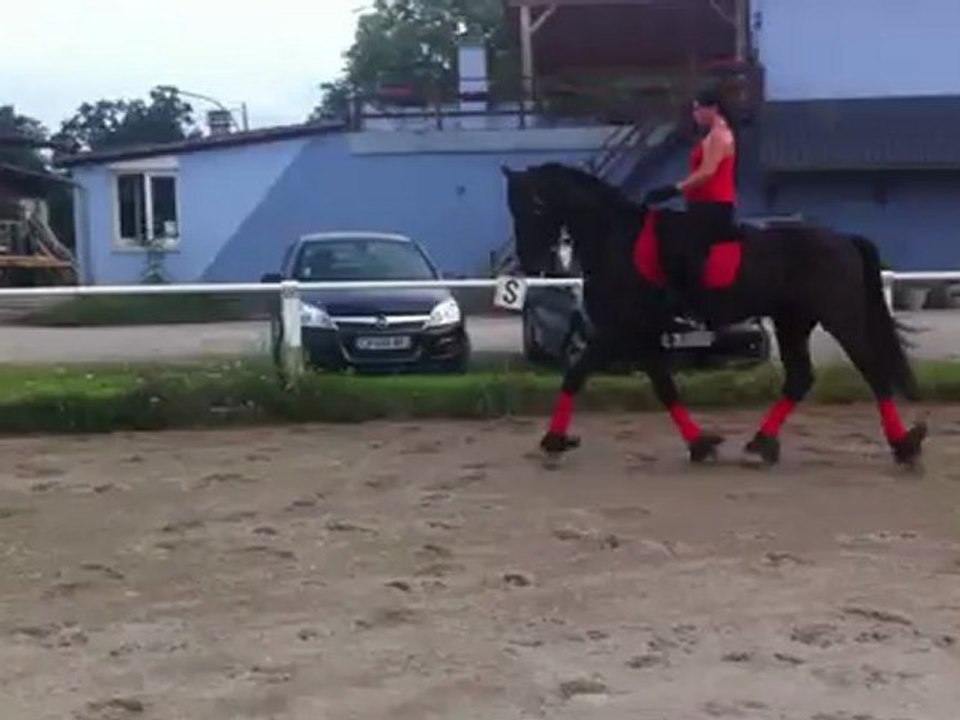 Marius