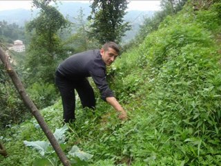 Adamgibi sevbeni laznecmi sesliful, sesli ful