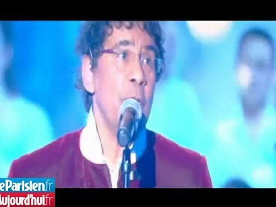 Victoires : Thiéfaine et Ringer triomphent, Voulzy et Brigitte savourent