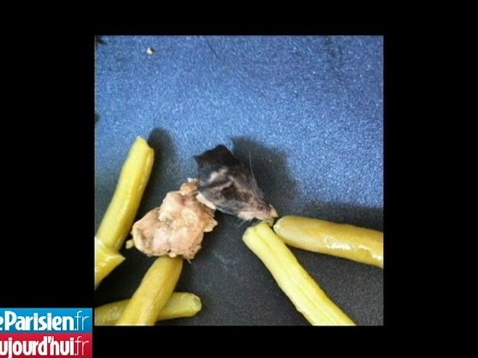 Il trouve une tête de souris dans sa boîte de haricots