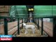 Virus du mouton : le désarroi d'un éleveur