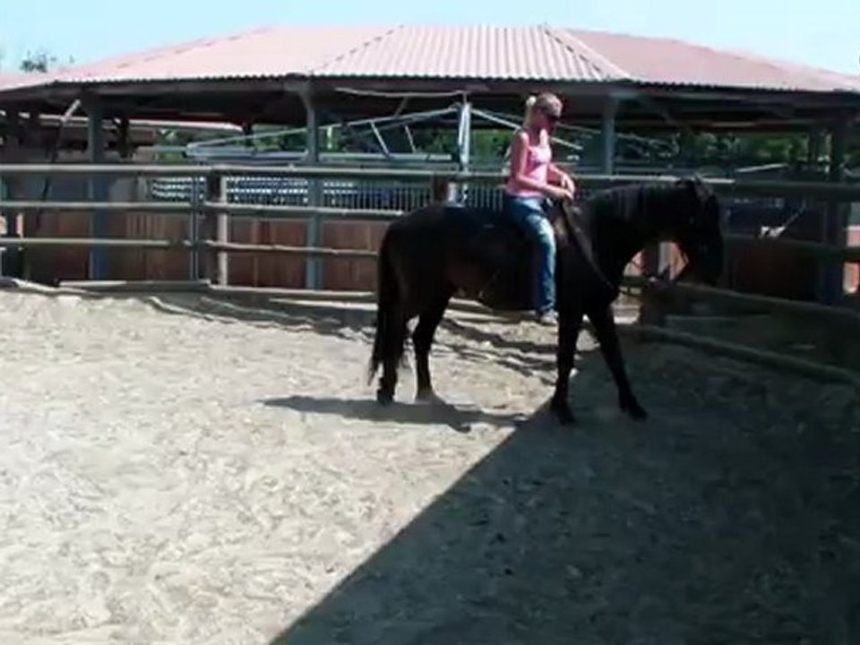 1er trot Tango à cru 08.2012