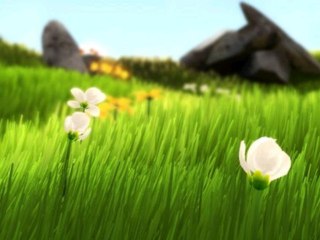 MonTest - Flower (PS3 - HD)