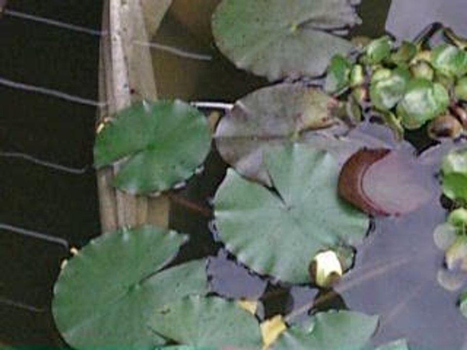 IMGP0869