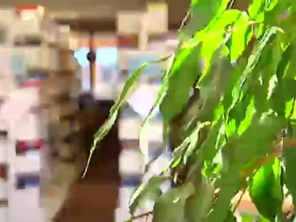 ألينه فيستفال: بطلة العالم في العزف على الغيتار الهوائي | يوروماكس