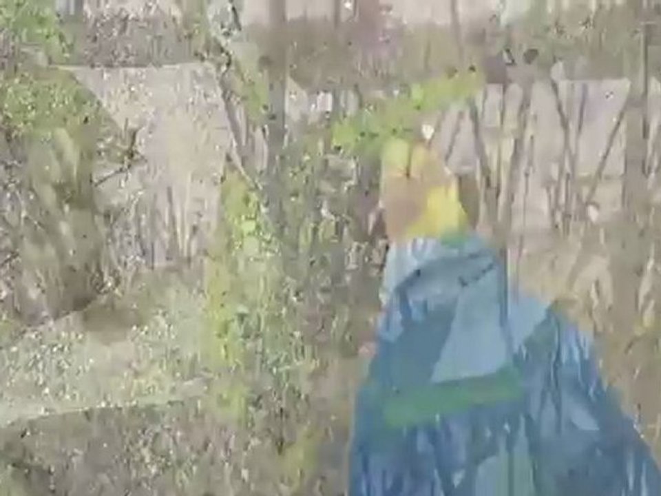 a bicycle wheel by michael hermiston