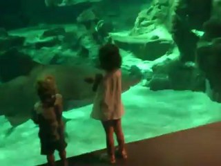 Aquarium Mare Nostrum Montpellier (Visite entière)