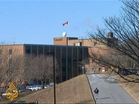 Seals' fate debated amid Canada culling calls