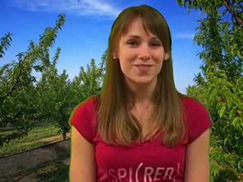 People Eating Bugs Food w Insects, Nutrition by Natalie