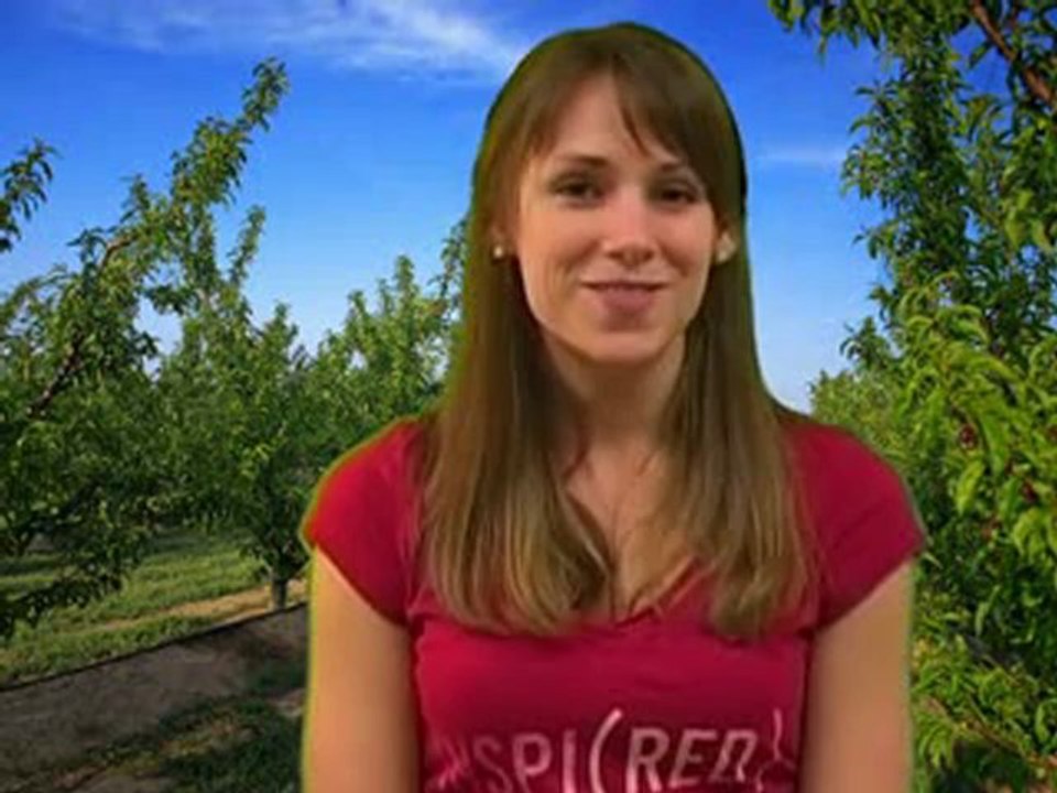 People Eating Bugs   Food w  Insects, Nutrition by Natalie