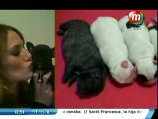 Hablan de Pedro y Paula en Convicciones - 21 de Agosto