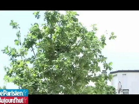 A Nogent, l'installation de la statue de Carla Bruni divise