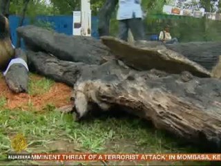 Little progress achieved at Rio Summit