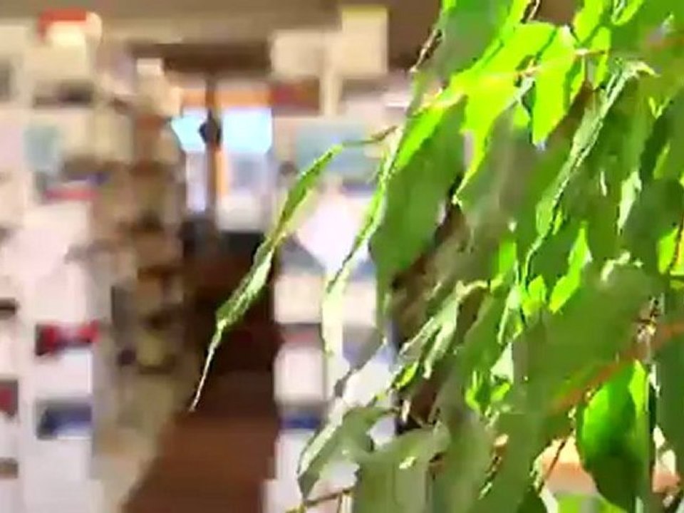 Aline westphal: luftgitarren-weltmeisterin | euromaxx