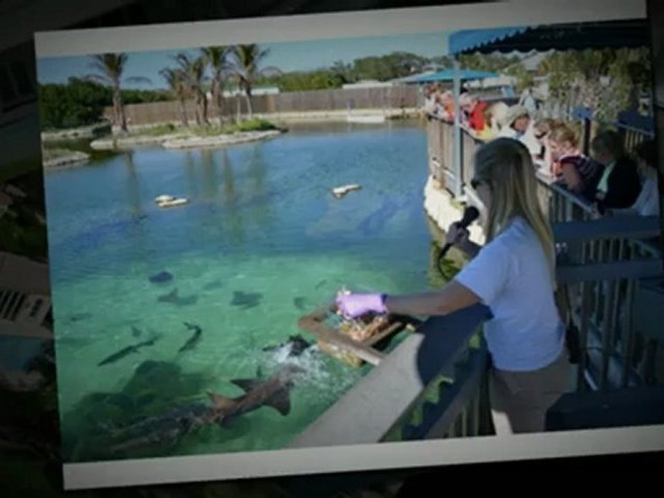 Affordable Real Estate In Stuart / Stuart Real Estate