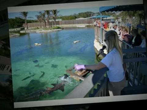 Affordable Real Estate In Stuart / Stuart Real Estate