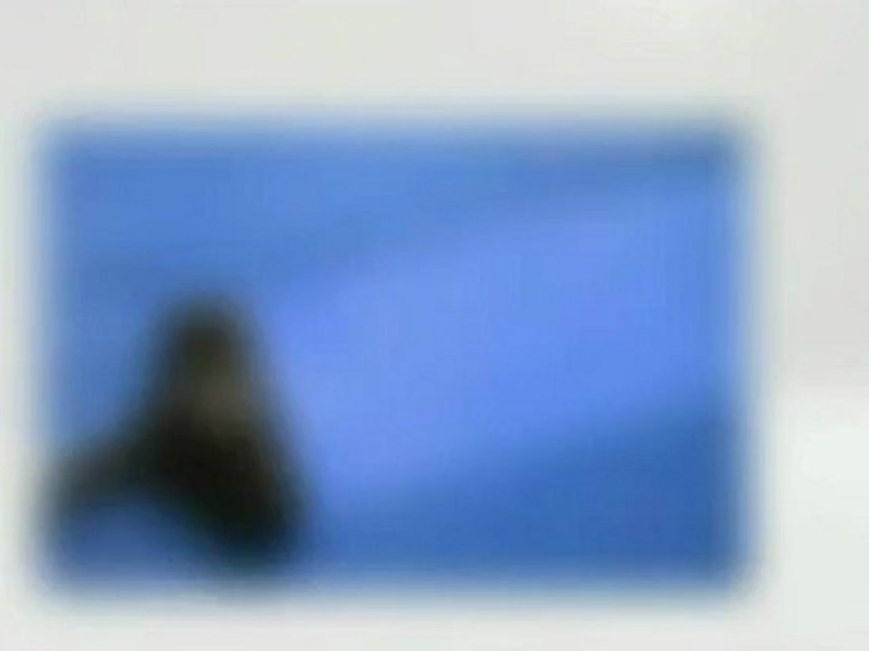 Philadelphia Carpet Cleaning Services | KC Carpet and Upholstery Cleaners