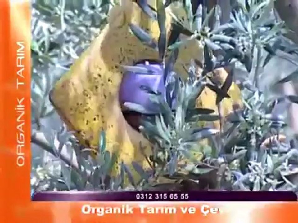 Organik Tarım ve Çevre