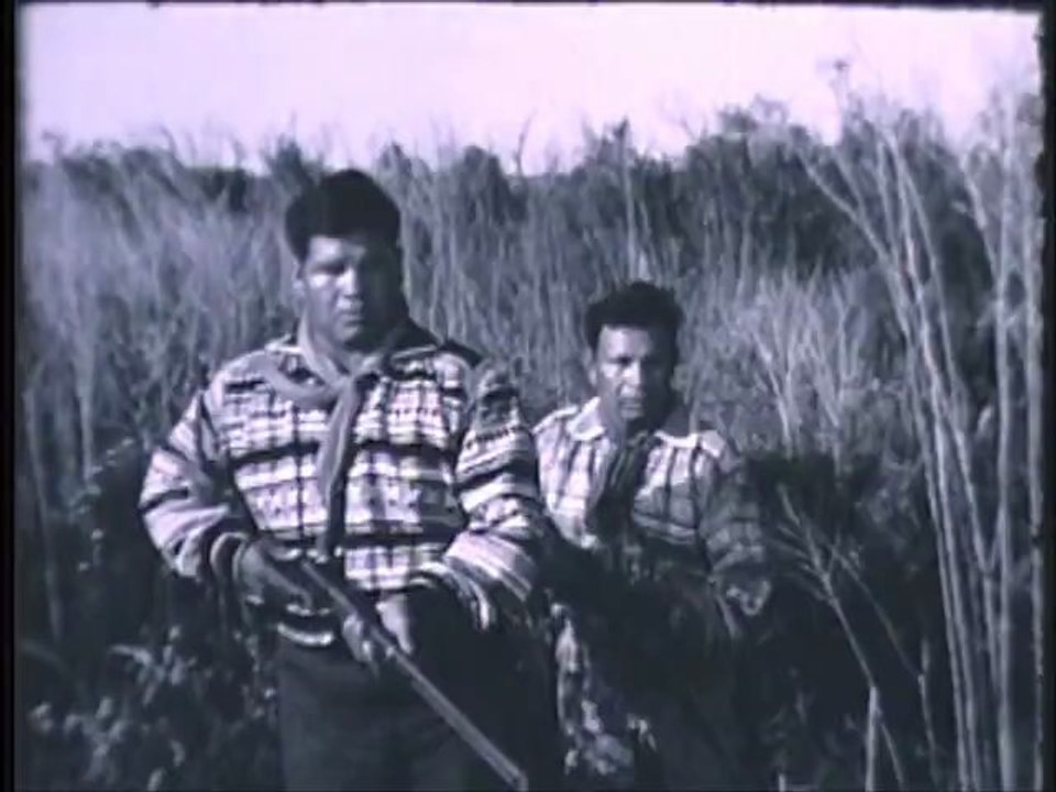 Everglades TV Show - Deadly shot