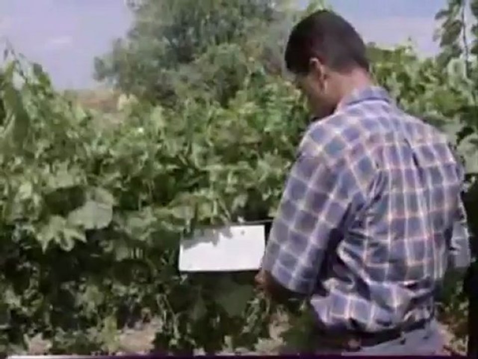 Tarım ve Gıda