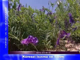 Küresel Isınma ve Tarım