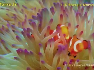 La vérité sur l Energie Universelle . ma-terre.fr