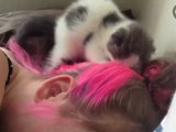 Yavru Kedi Kızın Kulağını Kemiriyor