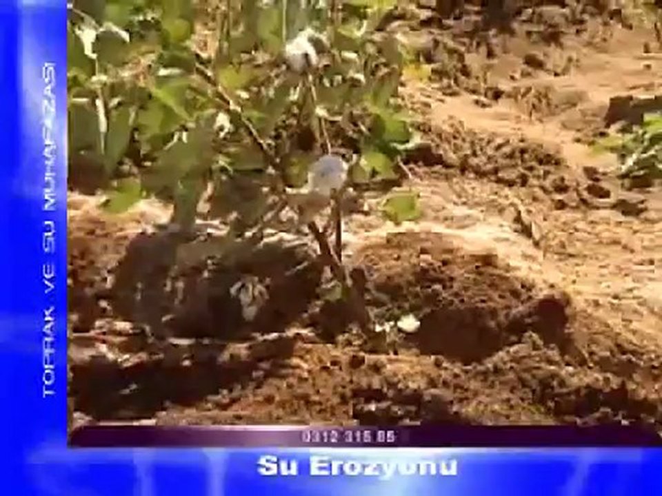 Su Erozyonu