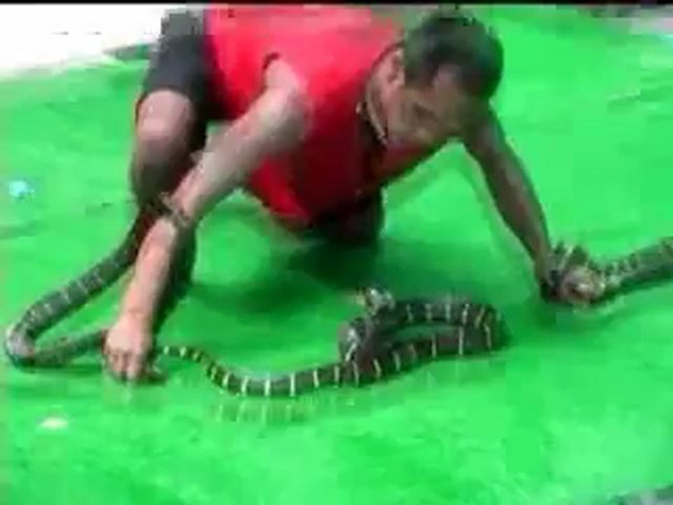 HOMENS E COBRAS..